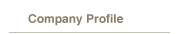 Company Profile