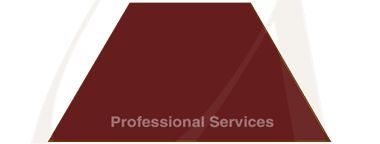 Middle Tier of Unisource Services Inc's Focus Areas